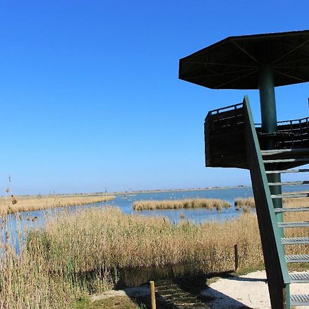 Quet - Casa Rural Con Piscina Privada En El Delta Del Ebro - Deltavacaciones Deltebre Εξωτερικό φωτογραφία